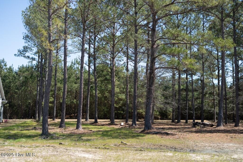 1069 Tinton Point Property Photo 6