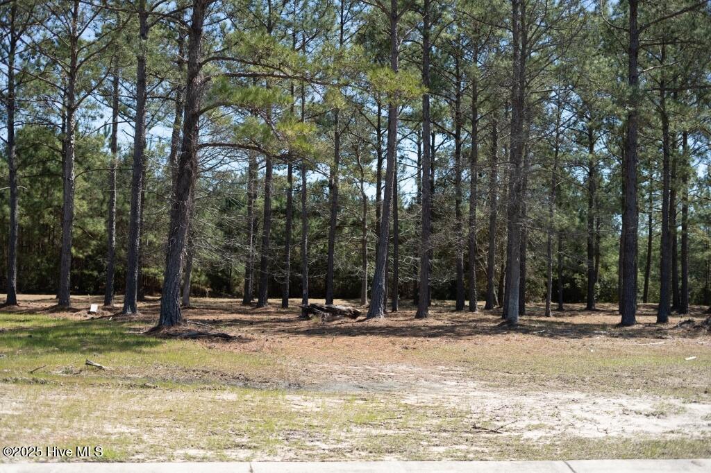 1069 Tinton Point Property Photo 7