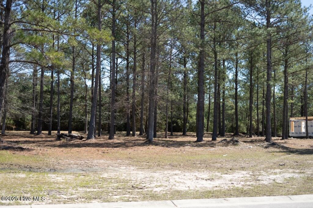 1069 Tinton Point Property Photo 8
