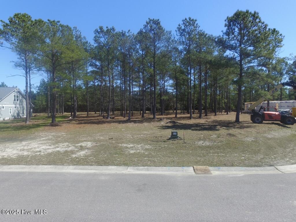 1069 Tinton Point Property Photo 16