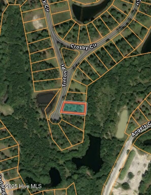 1069 Tinton Point Property Photo 26