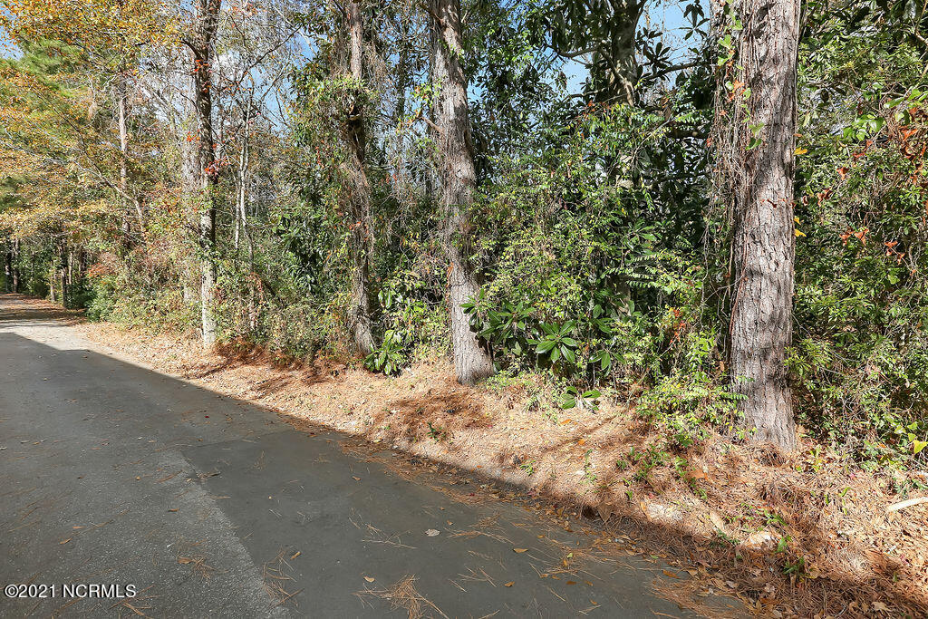 139 Rogersville Road Property Photo 3