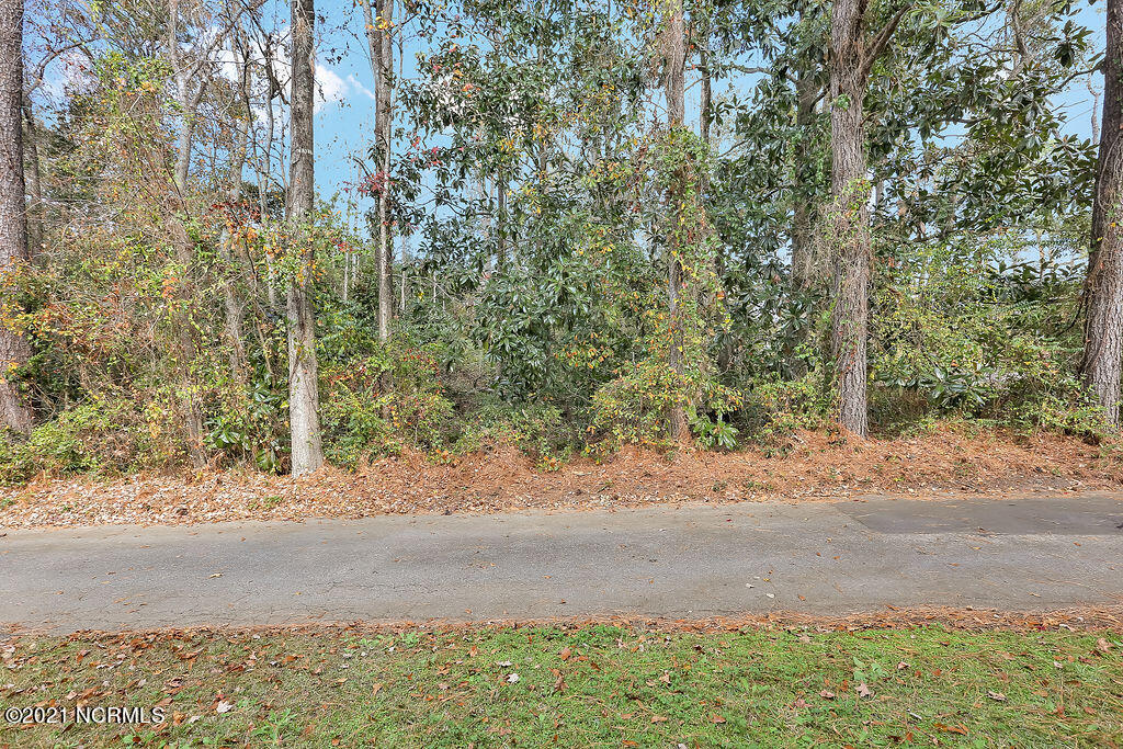 139 Rogersville Road Property Photo 4