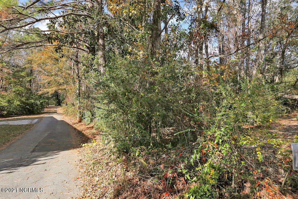 139 Rogersville Road Property Photo 6