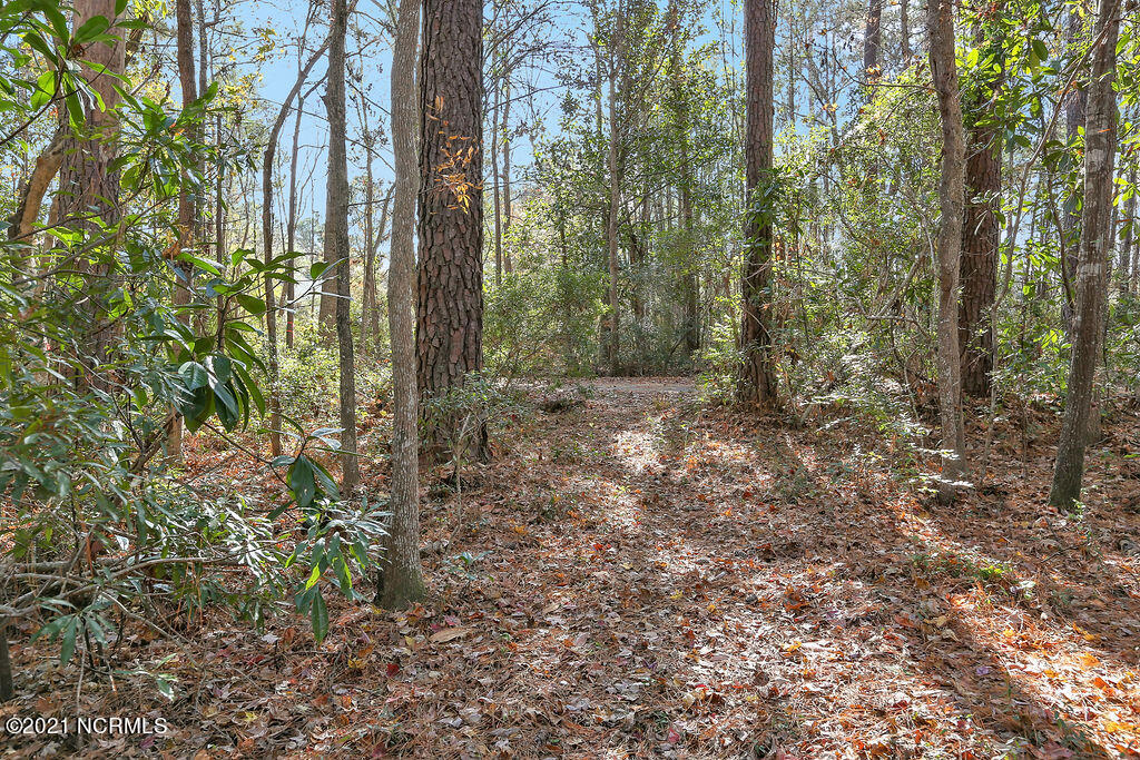139 Rogersville Road Property Photo 7