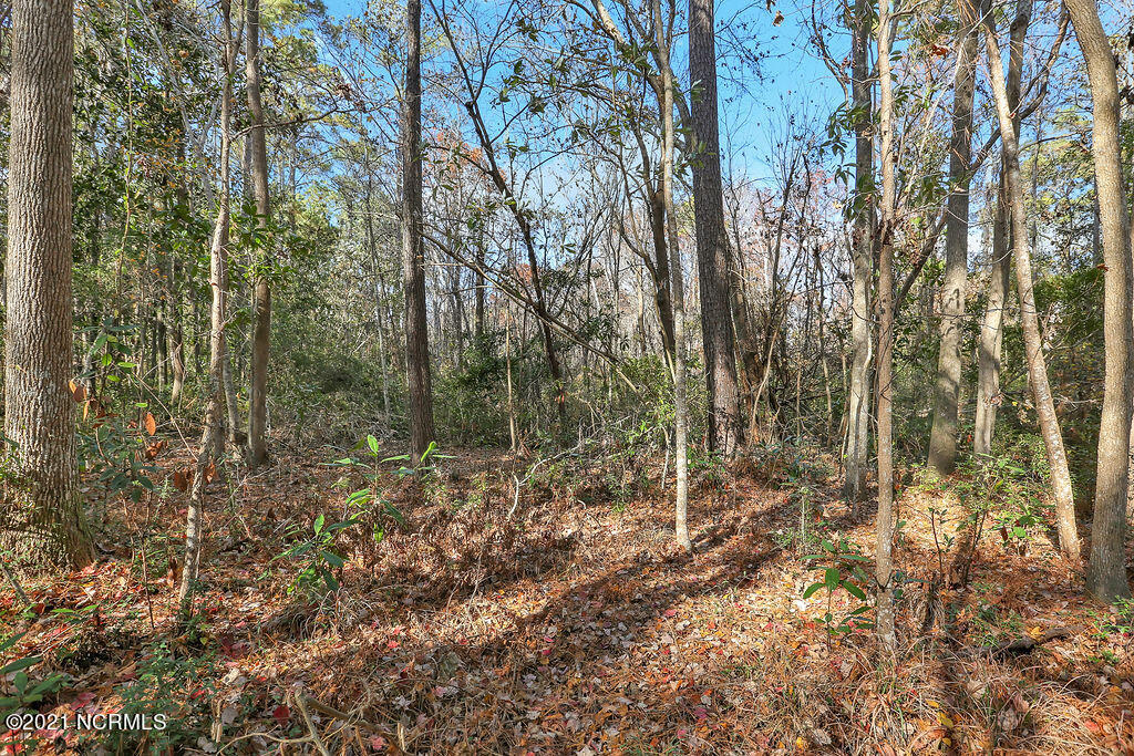 139 Rogersville Road Property Photo 8