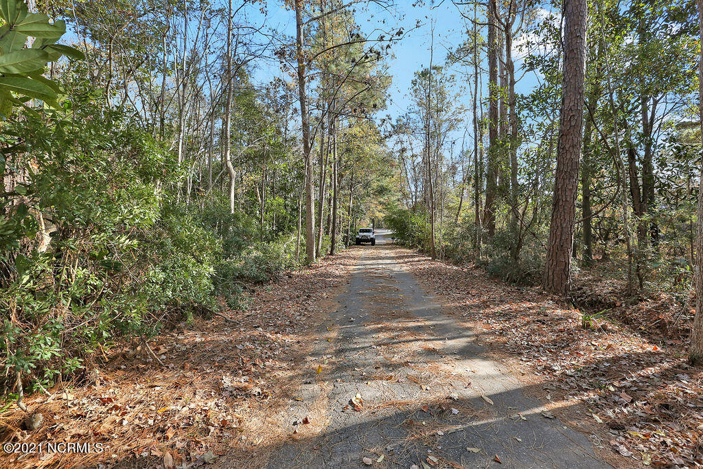 139 Rogersville Road Property Photo 9