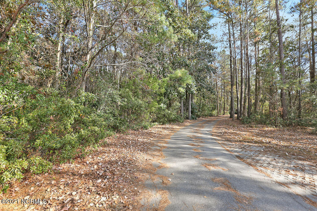 139 Rogersville Road Property Photo 10