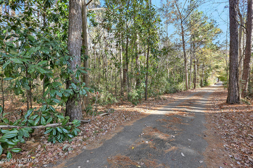 139 Rogersville Road Property Photo 11
