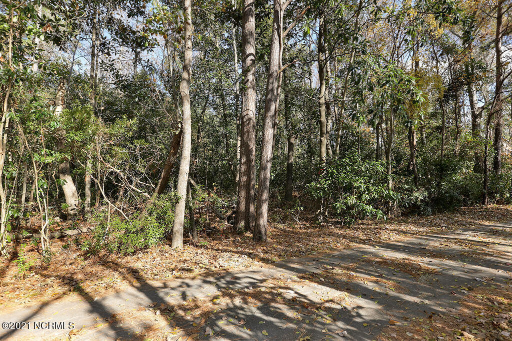 139 Rogersville Road Property Photo 12