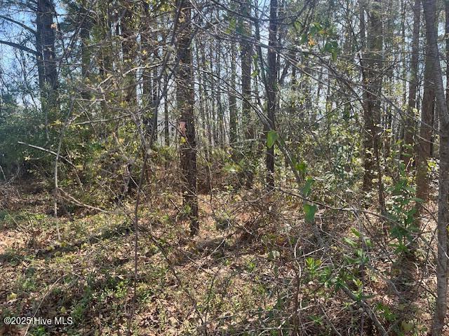 1864 Sunset Cove Drive Property Photo 5