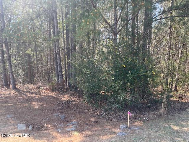 1864 Sunset Cove Drive Property Photo 7