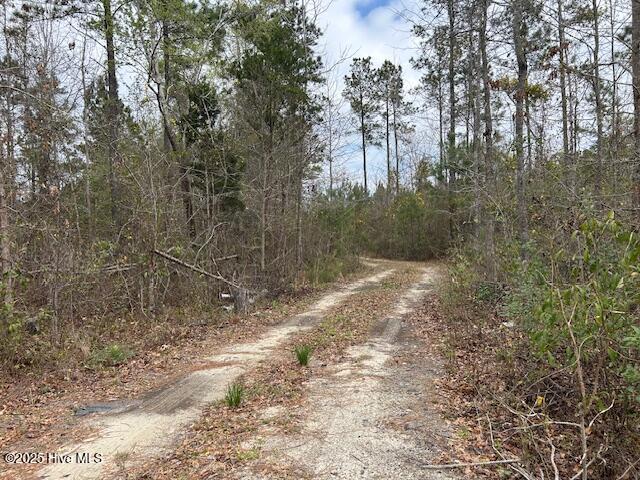 135 Baytree Lane Property Photo 7