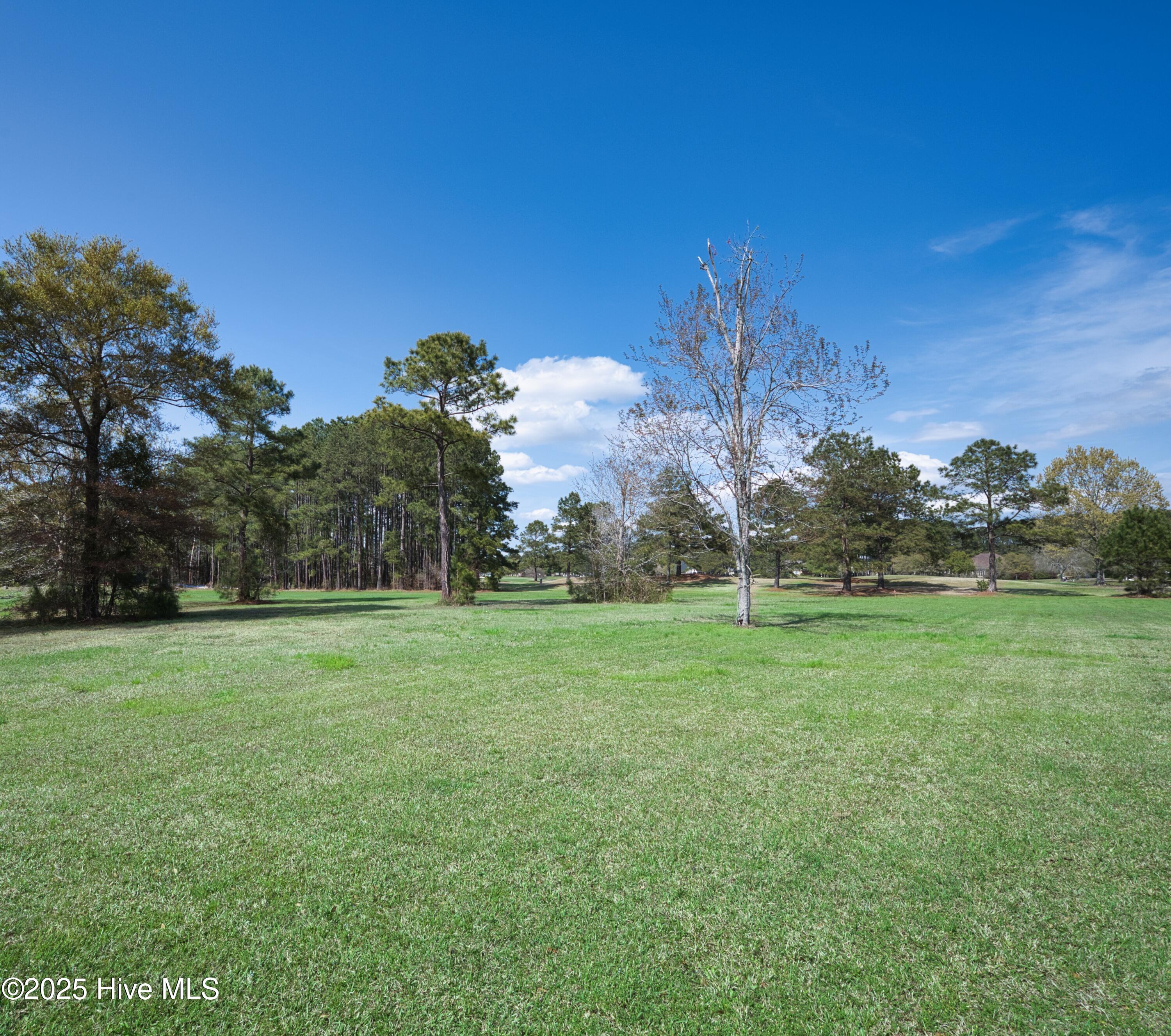 9447 Old Salem Way Property Photo 7