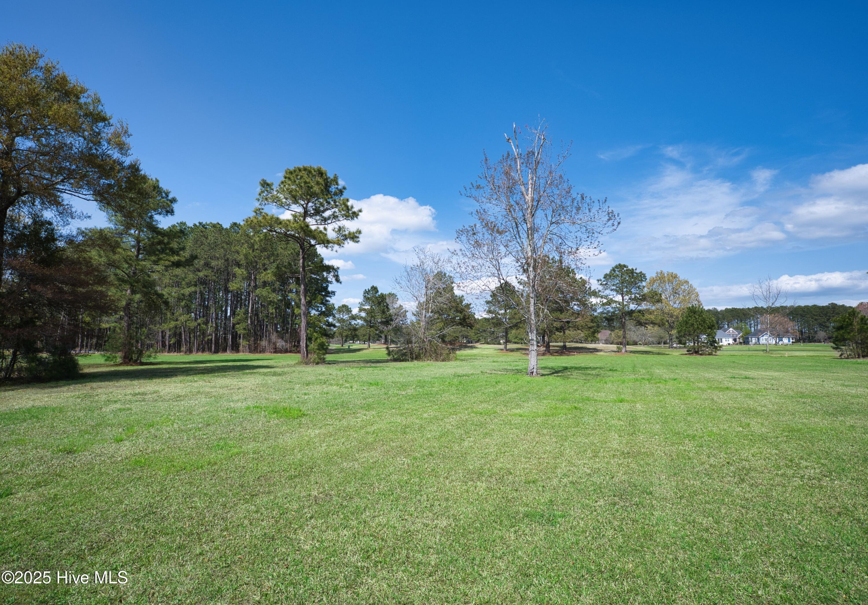 9447 Old Salem Way Property Photo 8