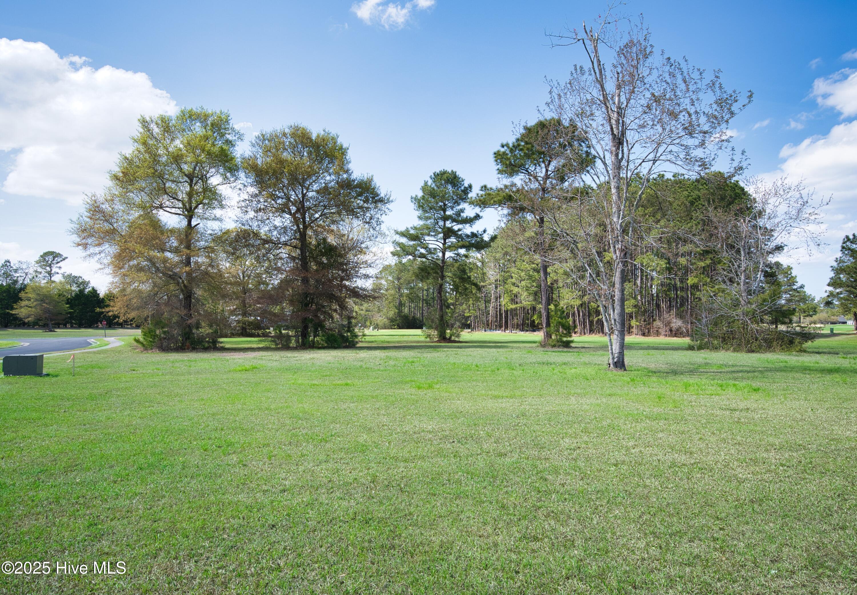 9447 Old Salem Way Property Photo 9