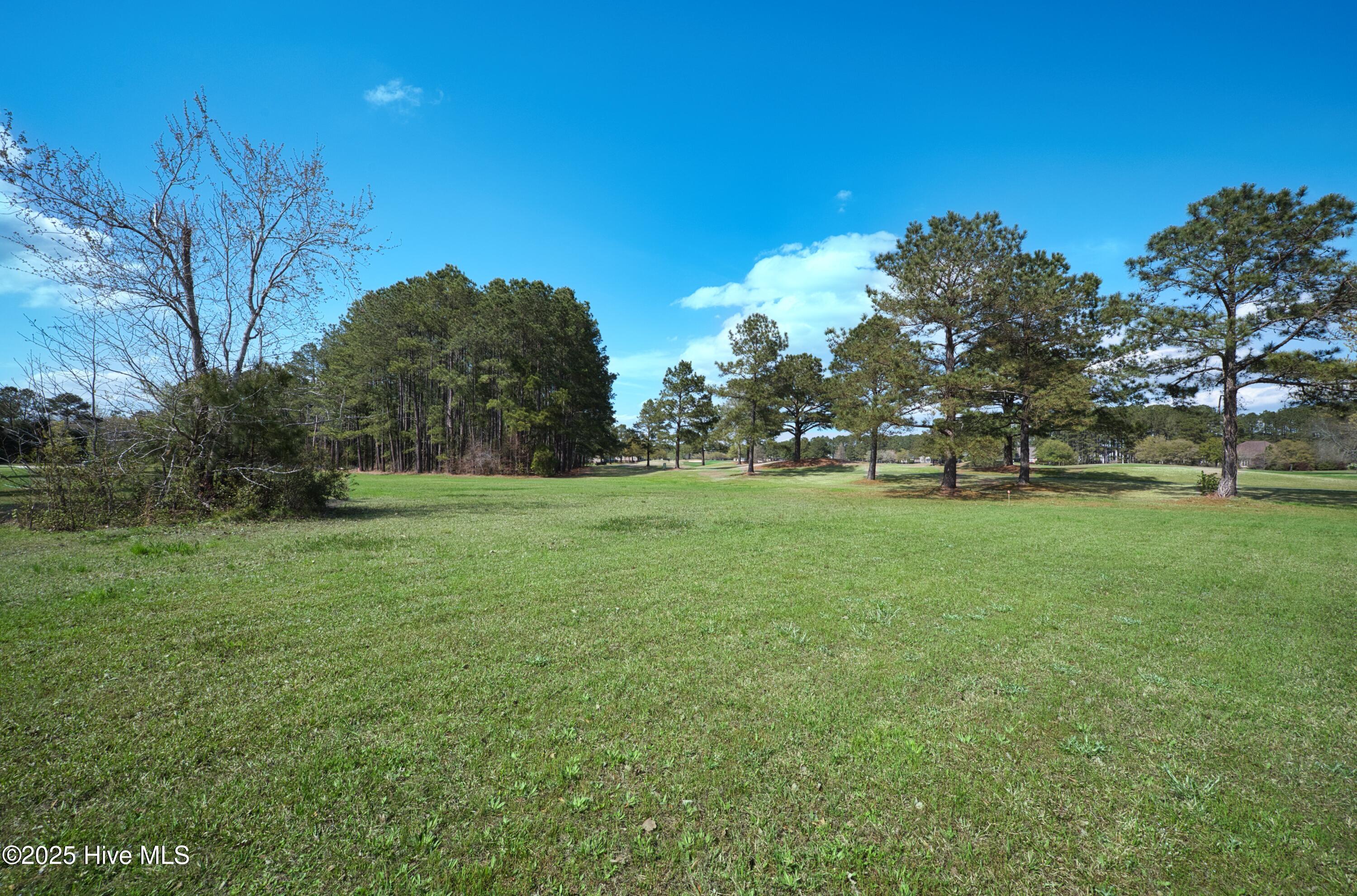 9447 Old Salem Way Property Photo 10