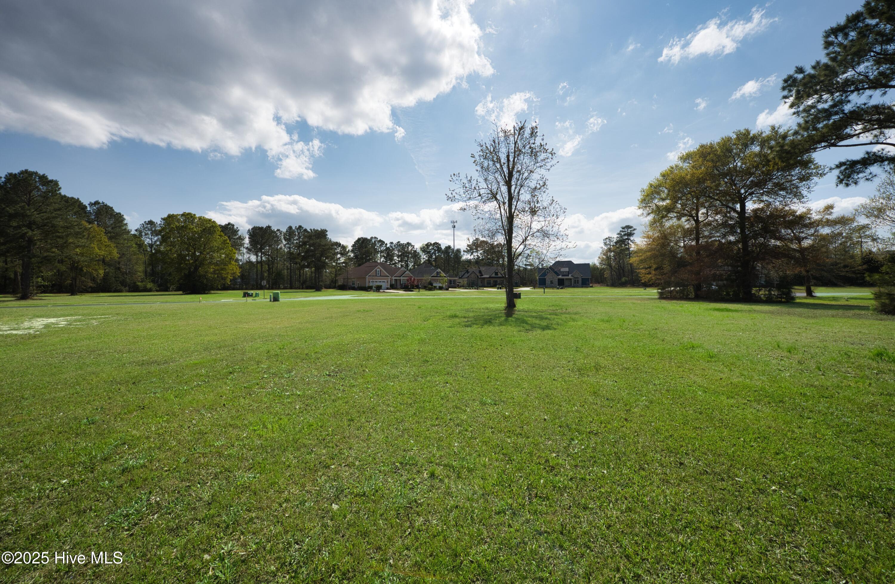 9447 Old Salem Way Property Photo 11