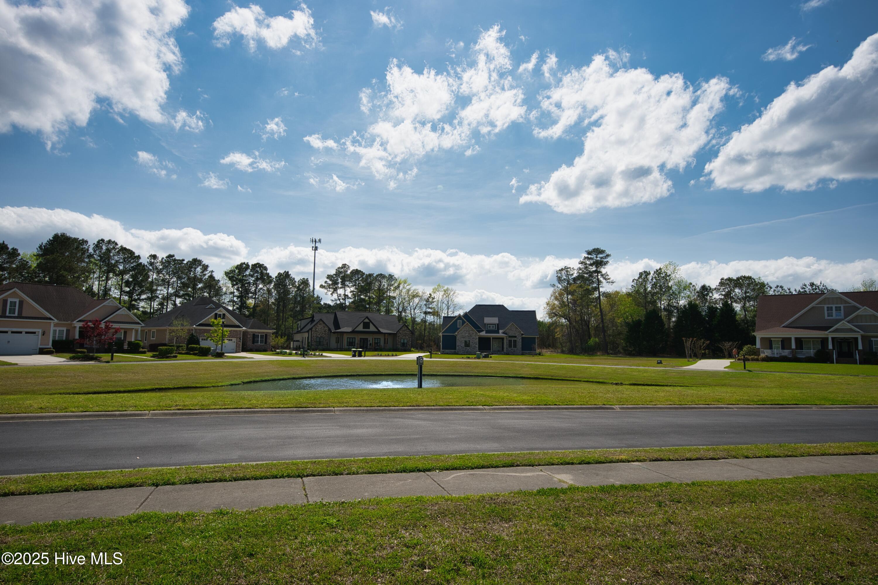 9447 Old Salem Way Property Photo 14