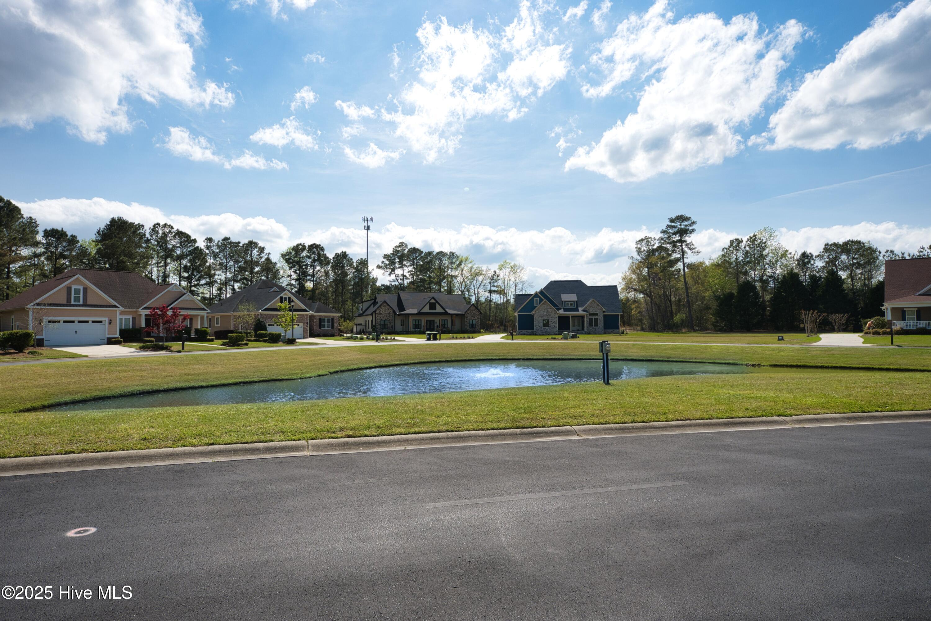 9447 Old Salem Way Property Photo 15