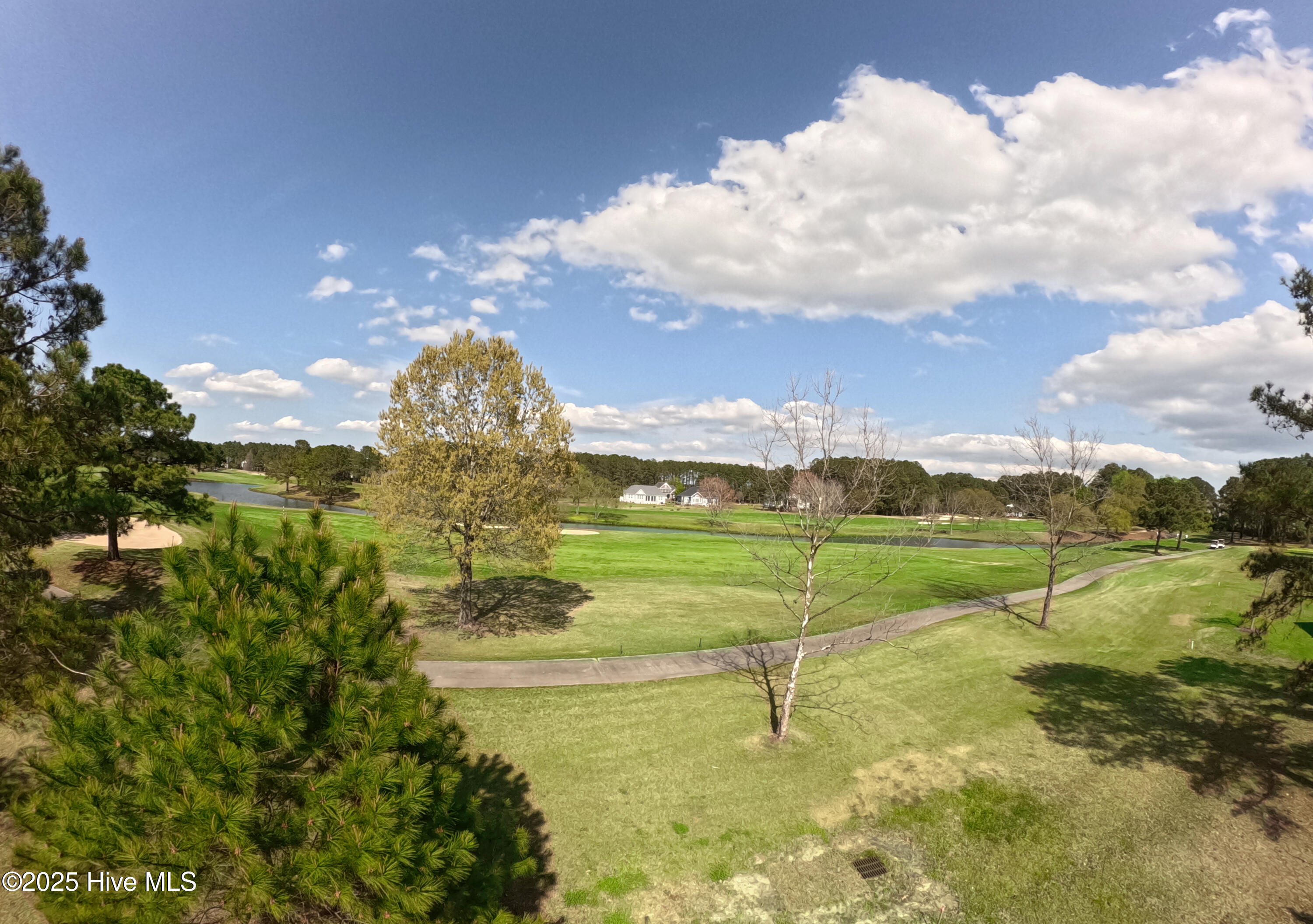 9447 Old Salem Way Property Photo 19