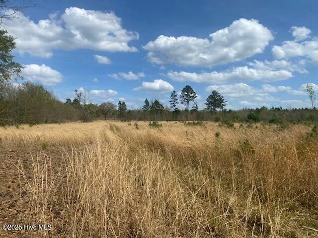 28385 Aberdeen (nc Hwy 15/501) Road Property Photo 4