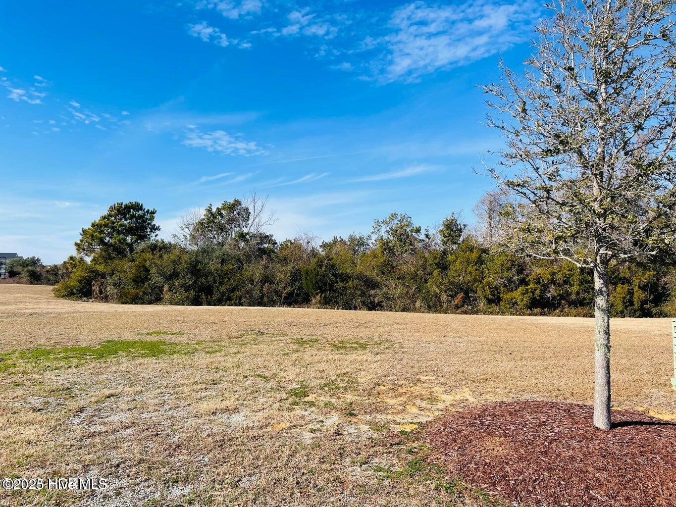 603 Cannonsgate Drive Property Photo 2