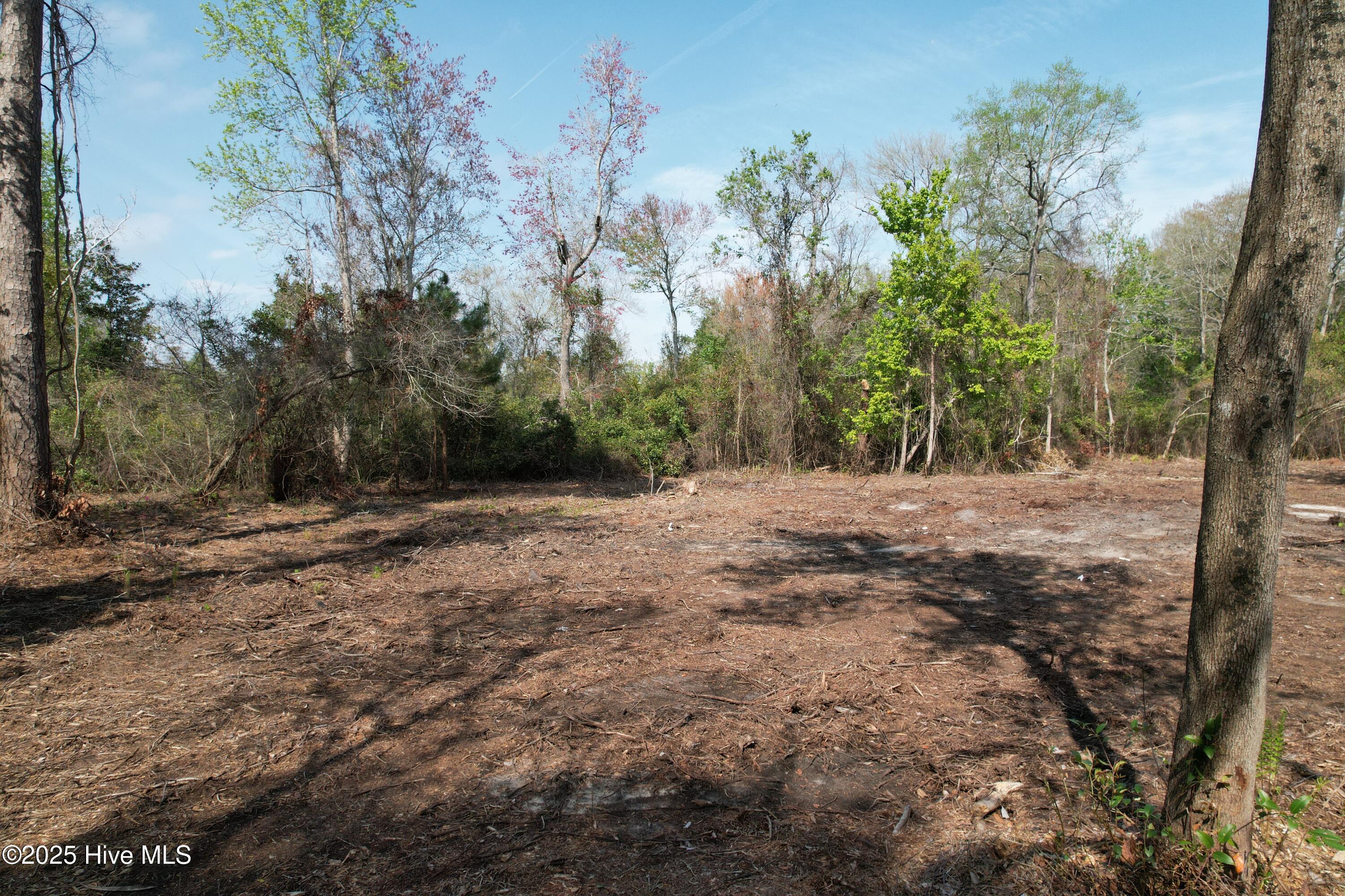 7404 Myrtle Grove Road Property Photo 2