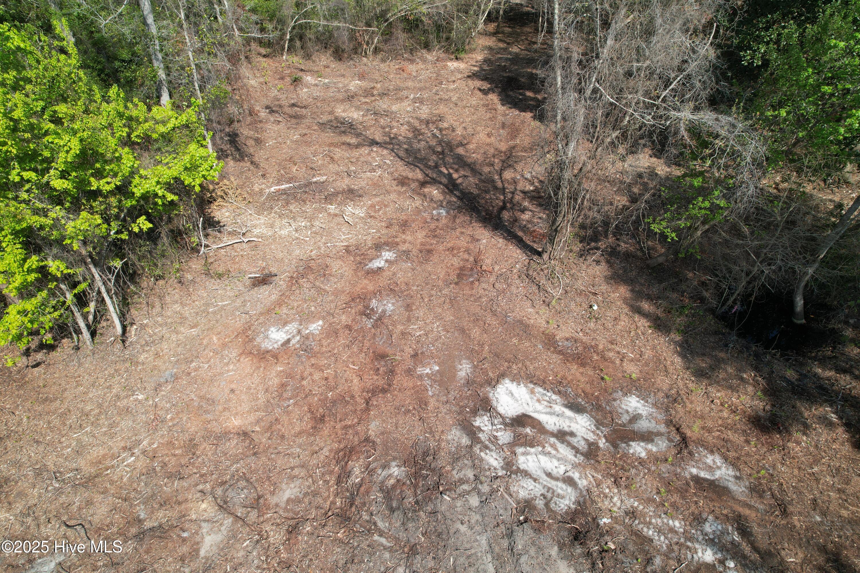 7404 Myrtle Grove Road Property Photo 3