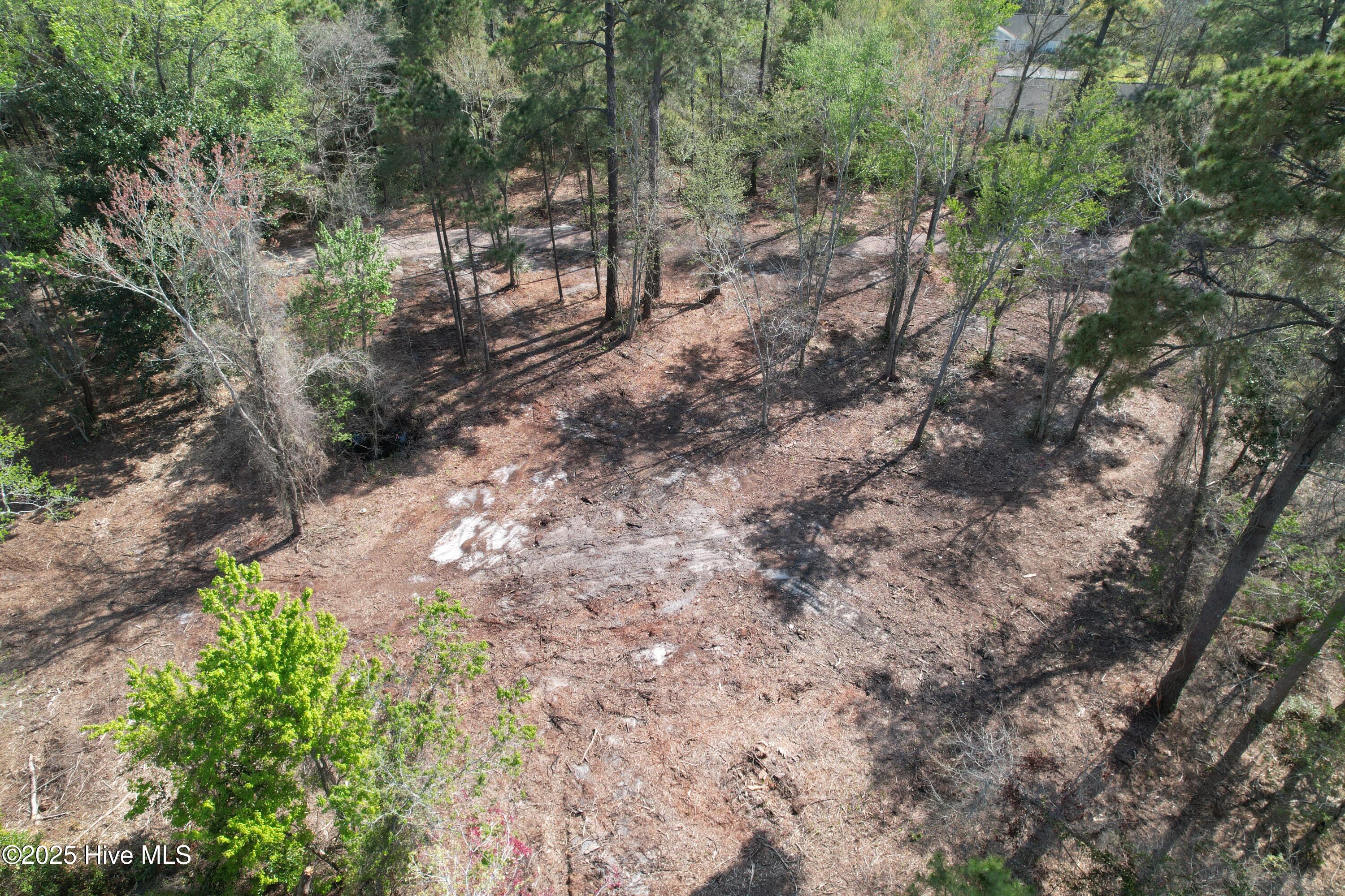 7404 Myrtle Grove Road Property Photo 4