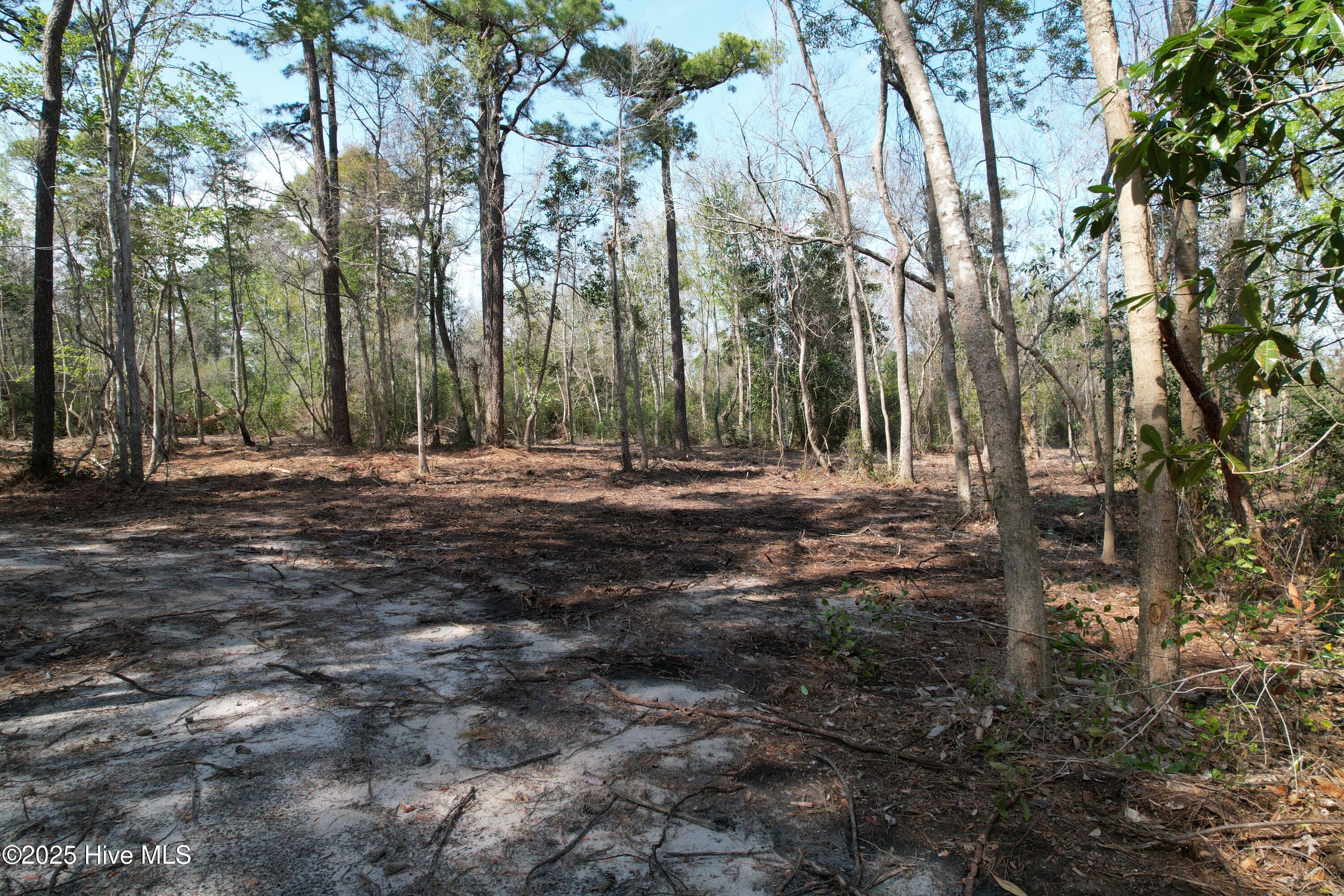 7406 Myrtle Grove Road Property Photo 1