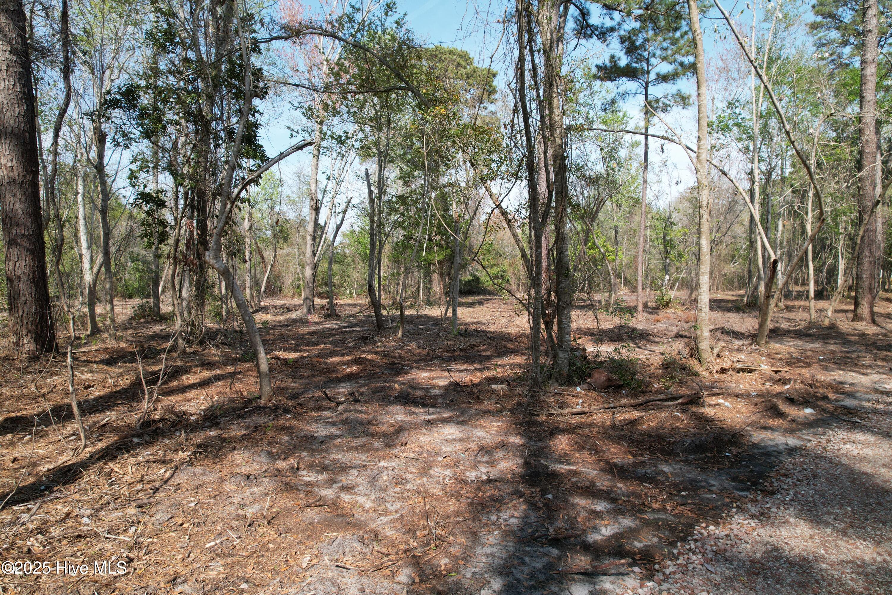 7406 Myrtle Grove Road Property Photo 2