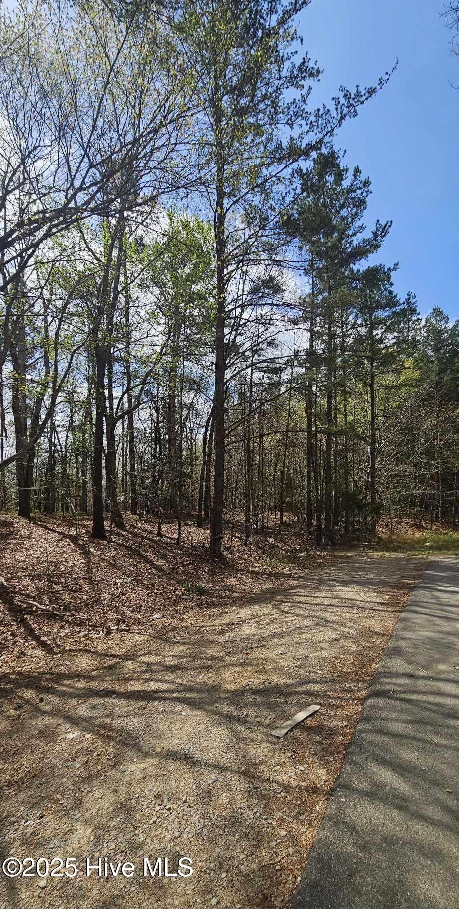 Lot 4 Leaman Road Property Photo