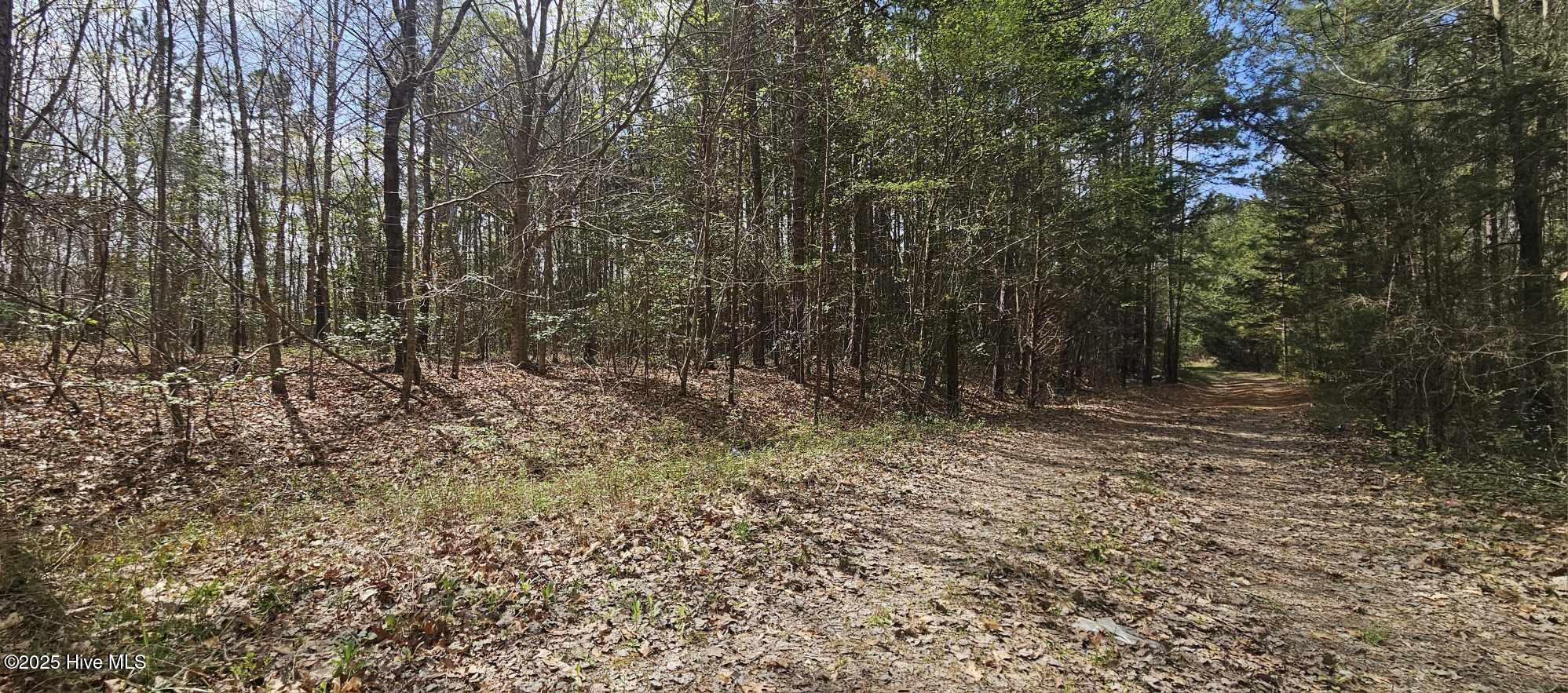 Lot 4 Leaman Road Property Photo 3