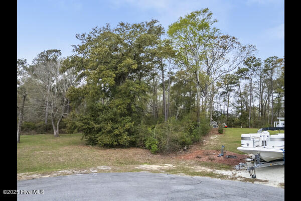 115 Bay Court Property Photo 2