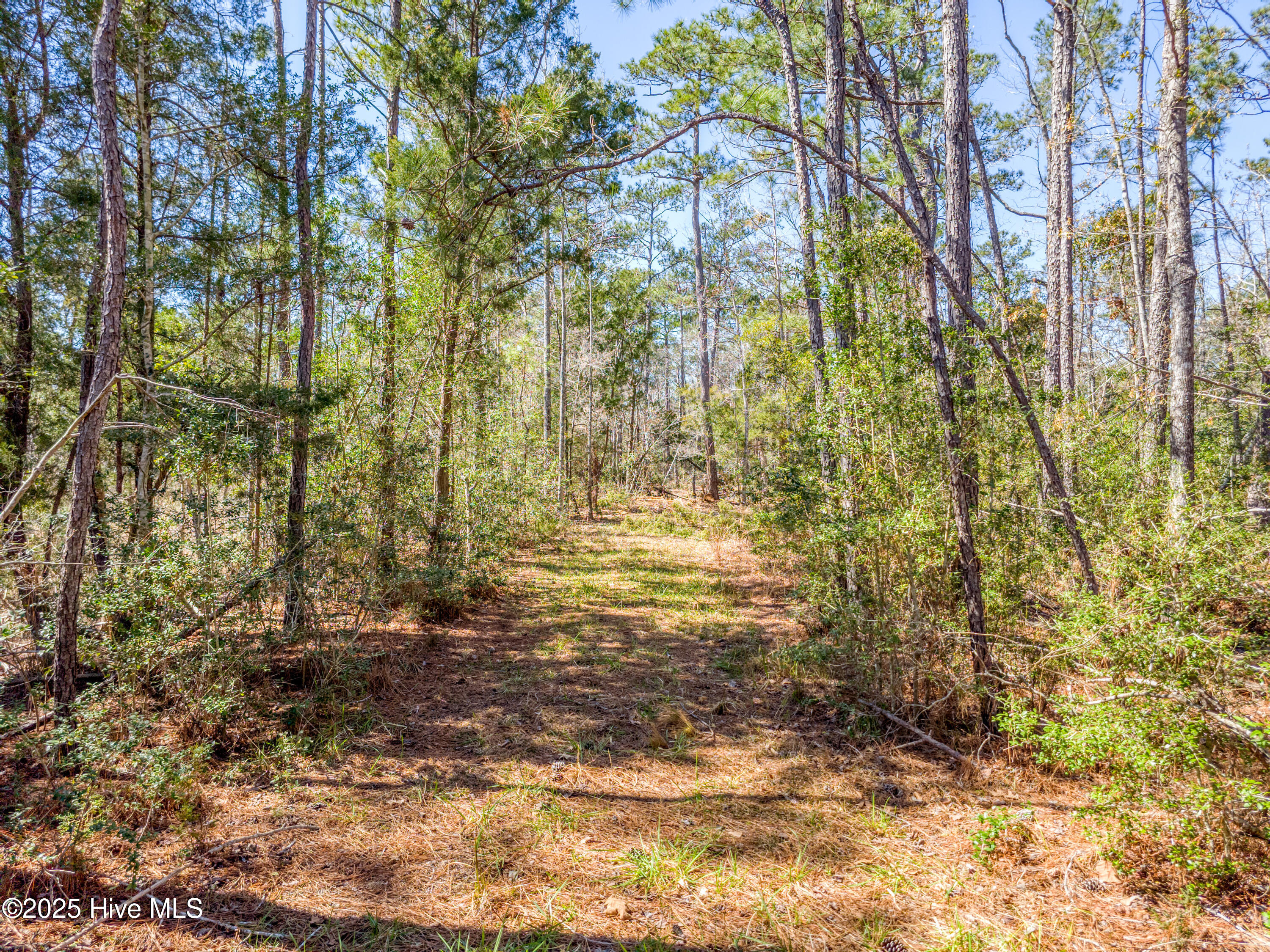 9 Widgeon Roost Property Photo 2