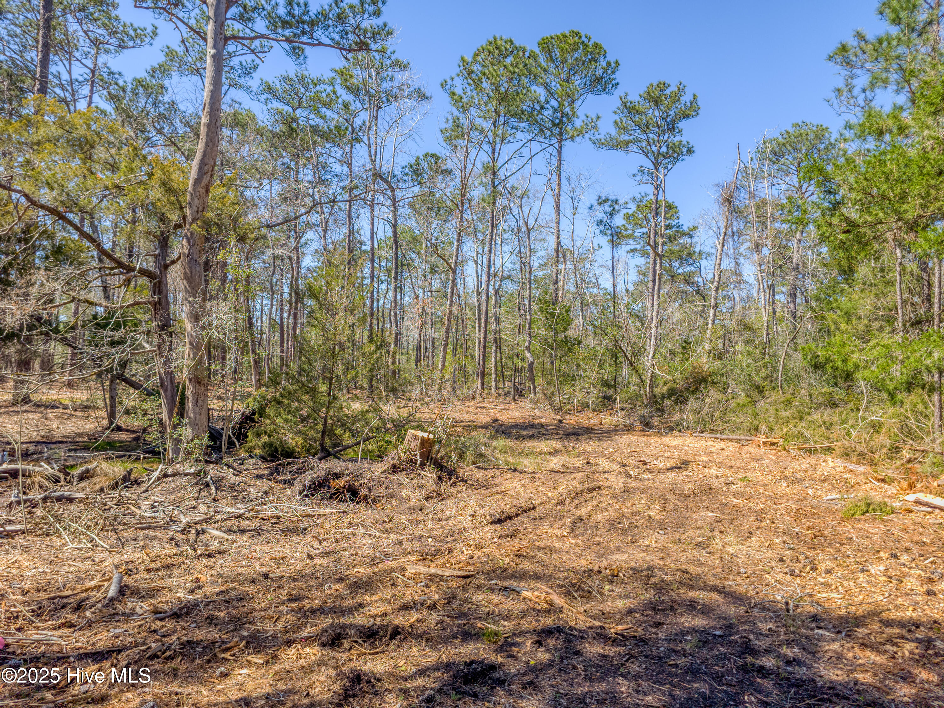 9 Widgeon Roost Property Photo 3