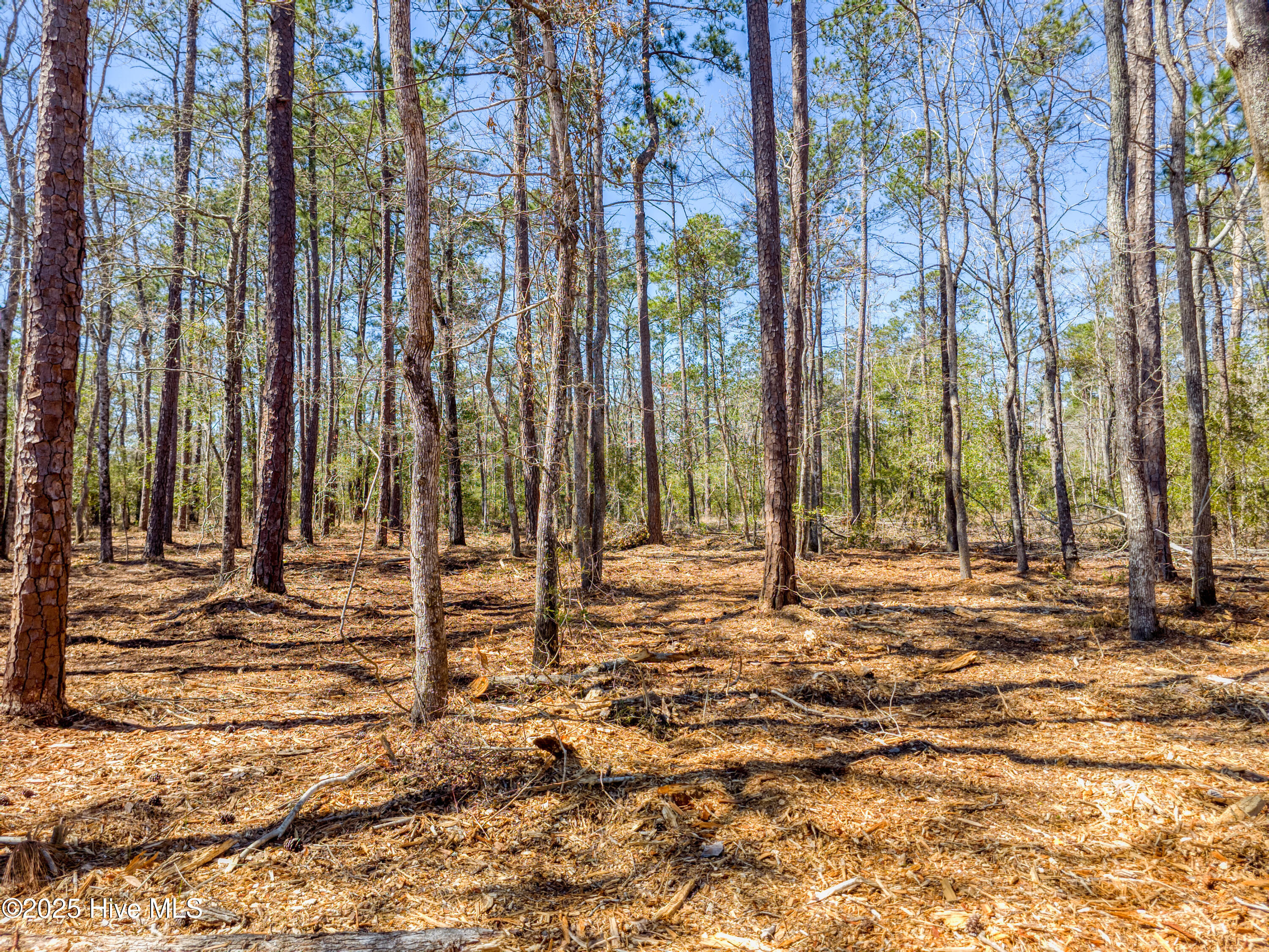 9 Widgeon Roost Property Photo 4