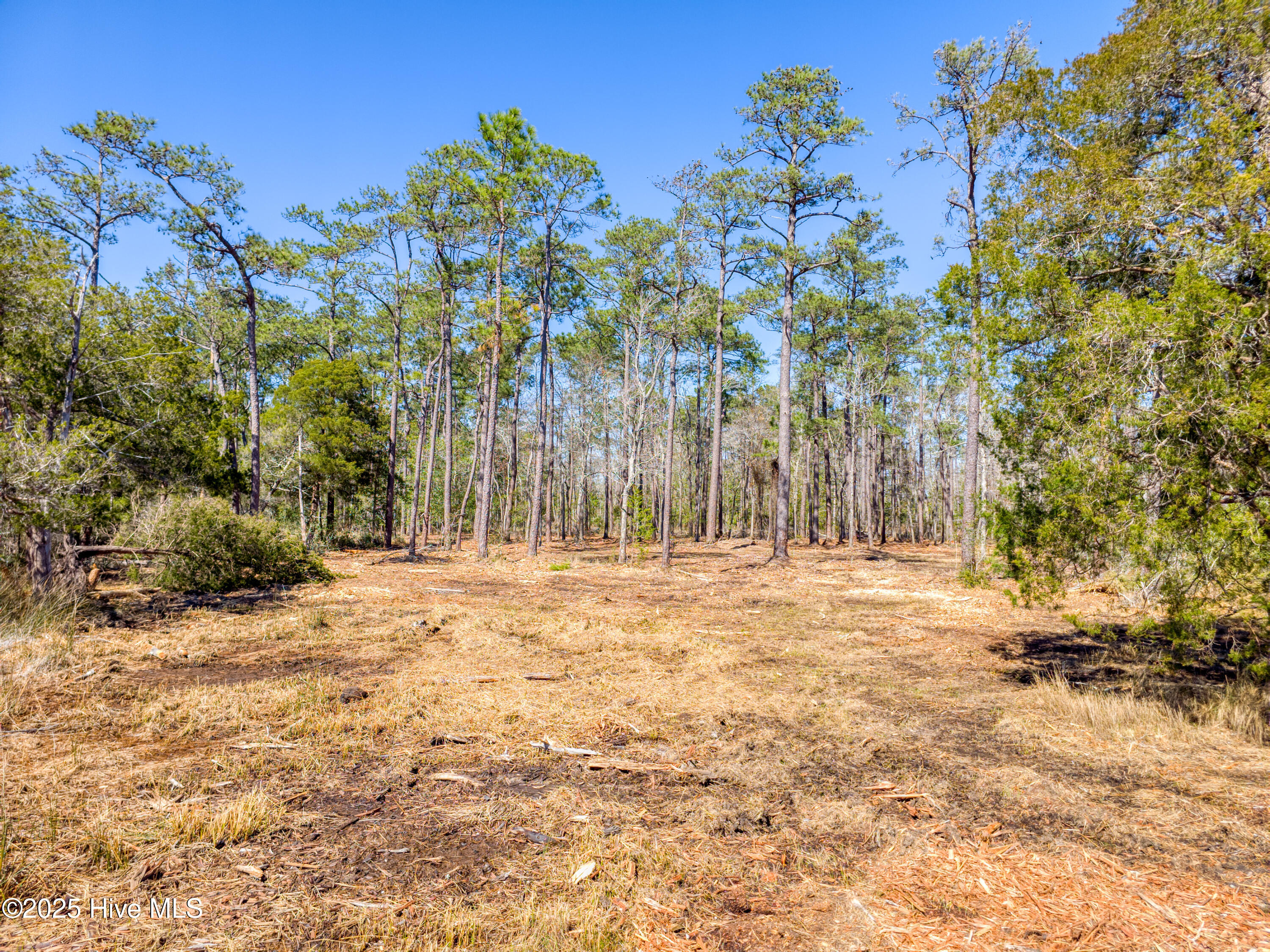 9 Widgeon Roost Property Photo 5