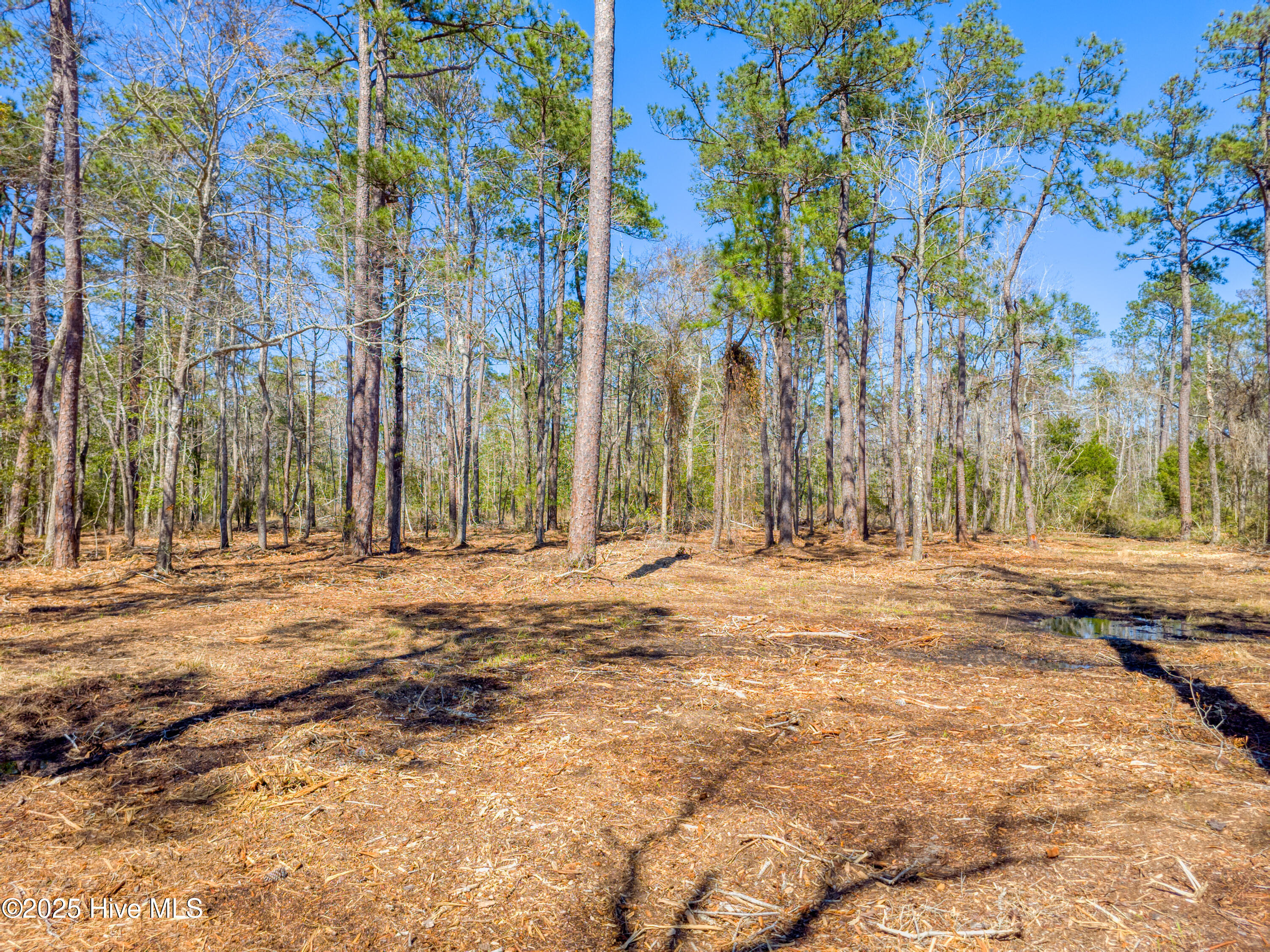 9 Widgeon Roost Property Photo 6