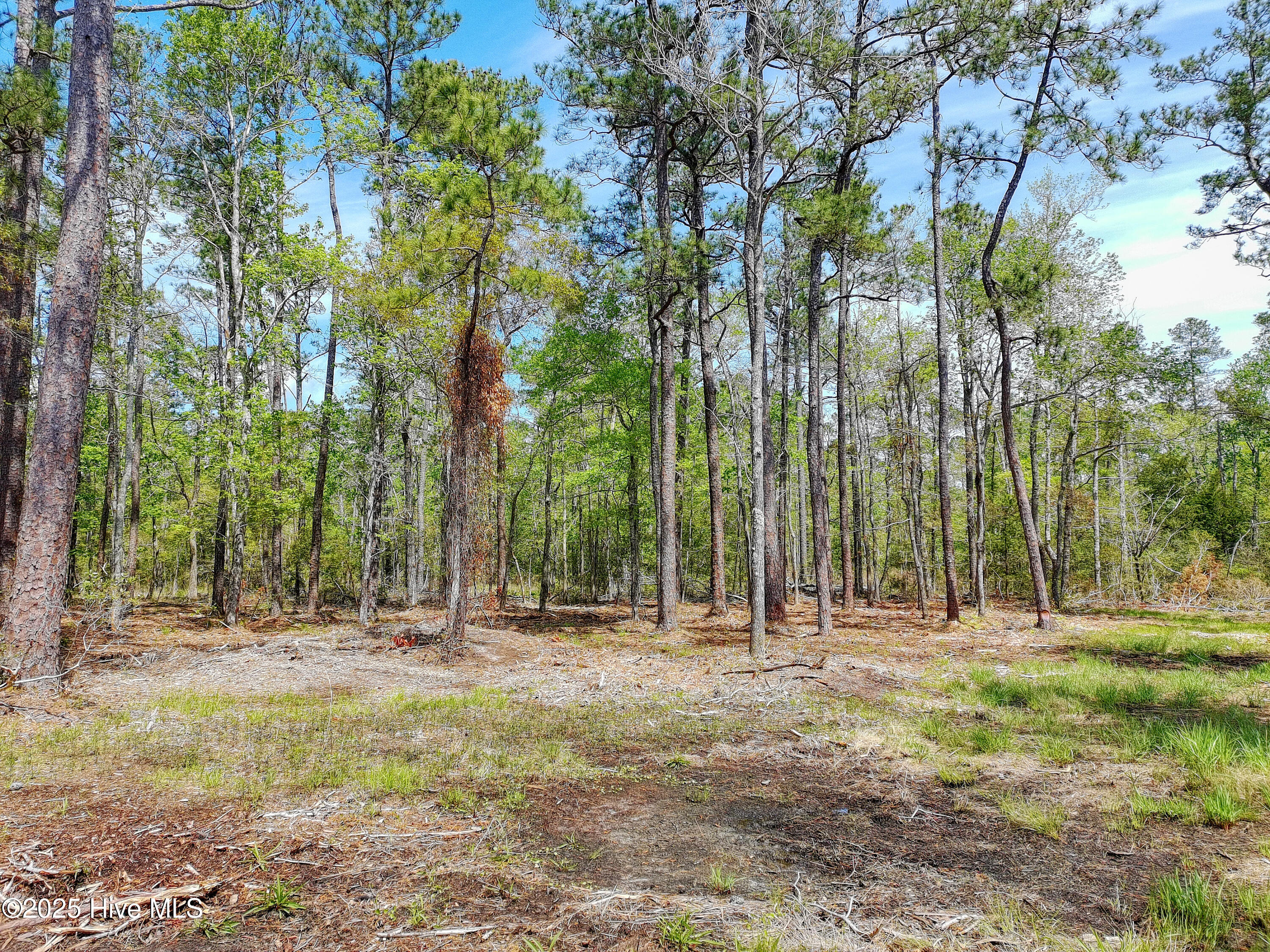 9 Widgeon Roost Property Photo 7