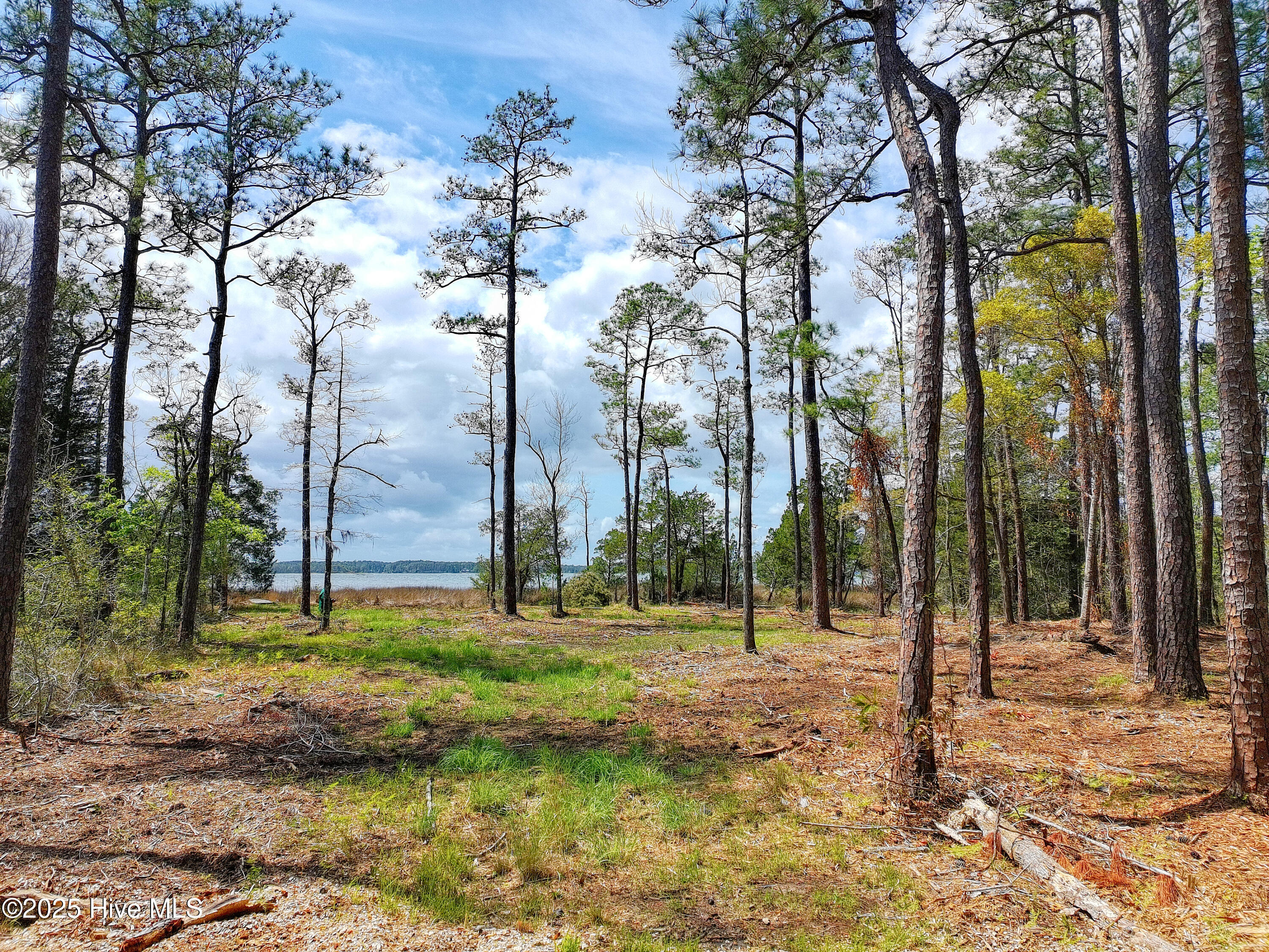 9 Widgeon Roost Property Photo 8