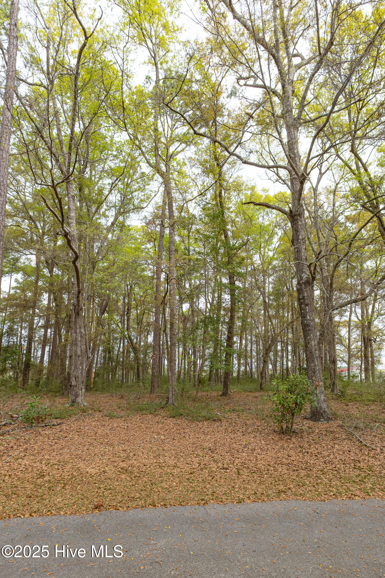 3500 Norman Drive Property Photo 14