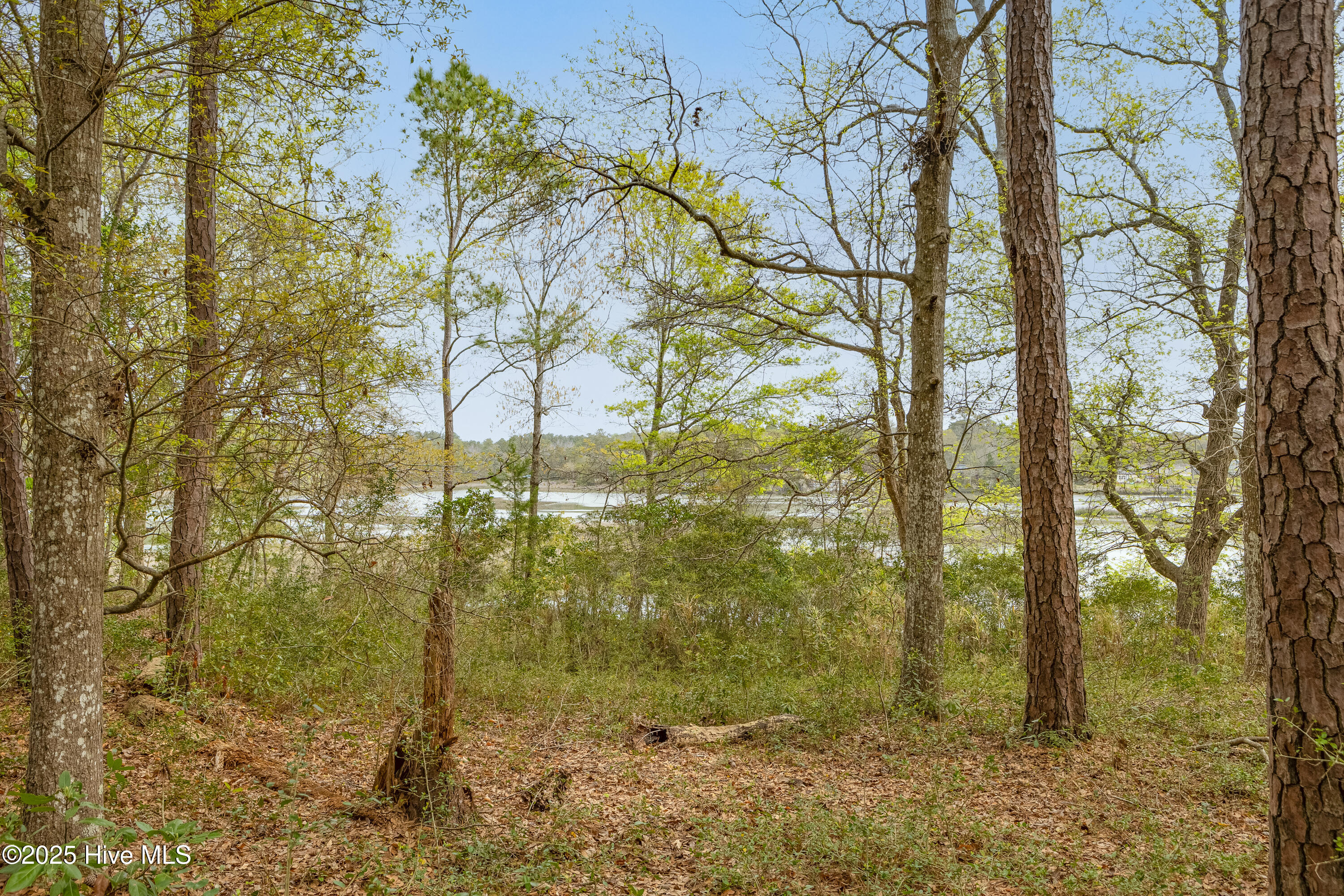 3500 Norman Drive Property Photo 16
