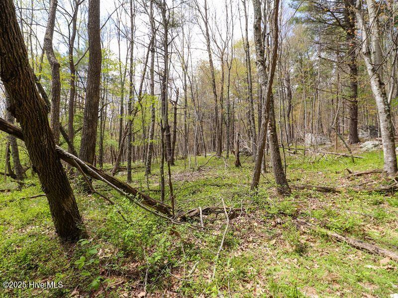 Lot 19 Potecasi Creek Road Road Property Photo