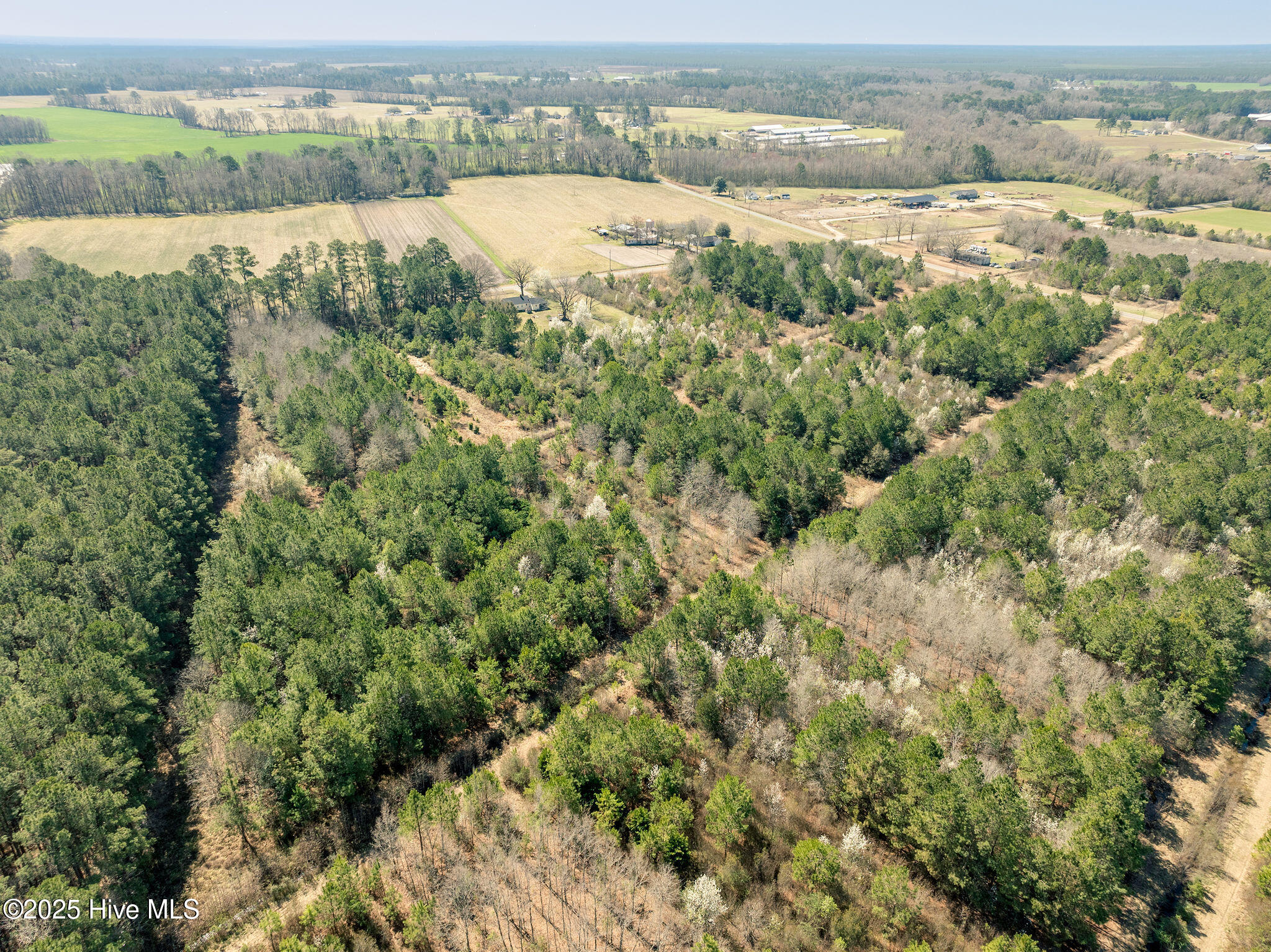 10.16 Acre Crooked Run Road Property Photo 5