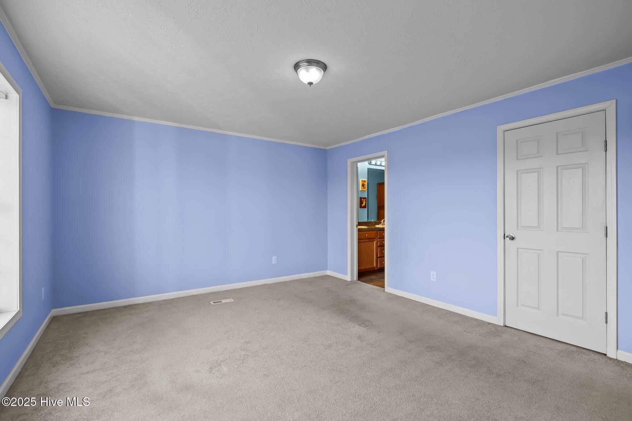 207 Mayflower Drive Property Photo 14