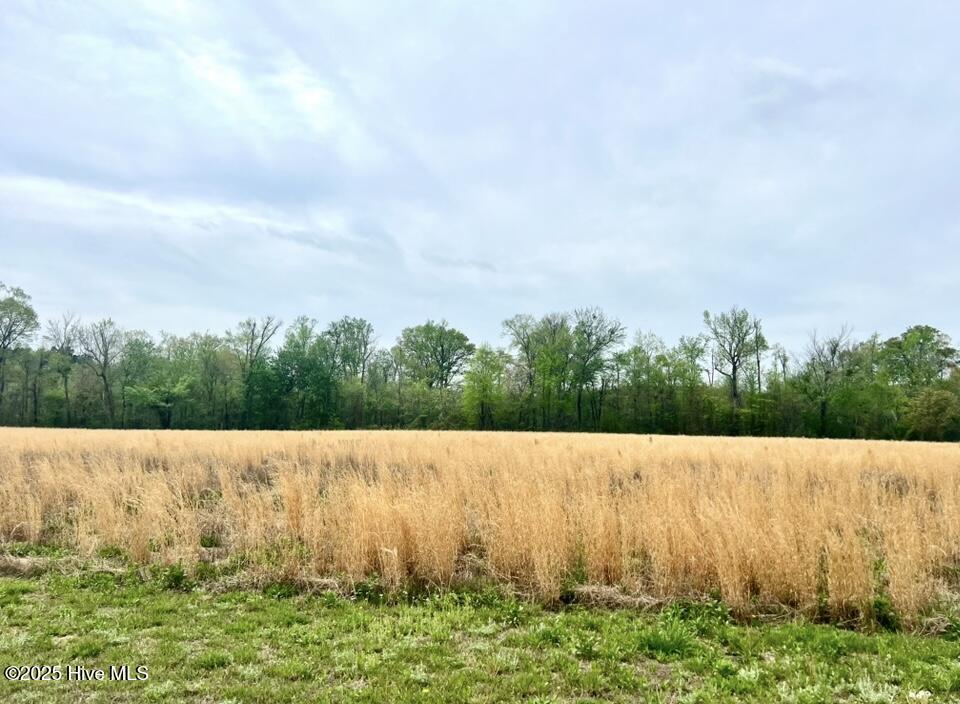 140 Sand Hills Road Property Photo 1