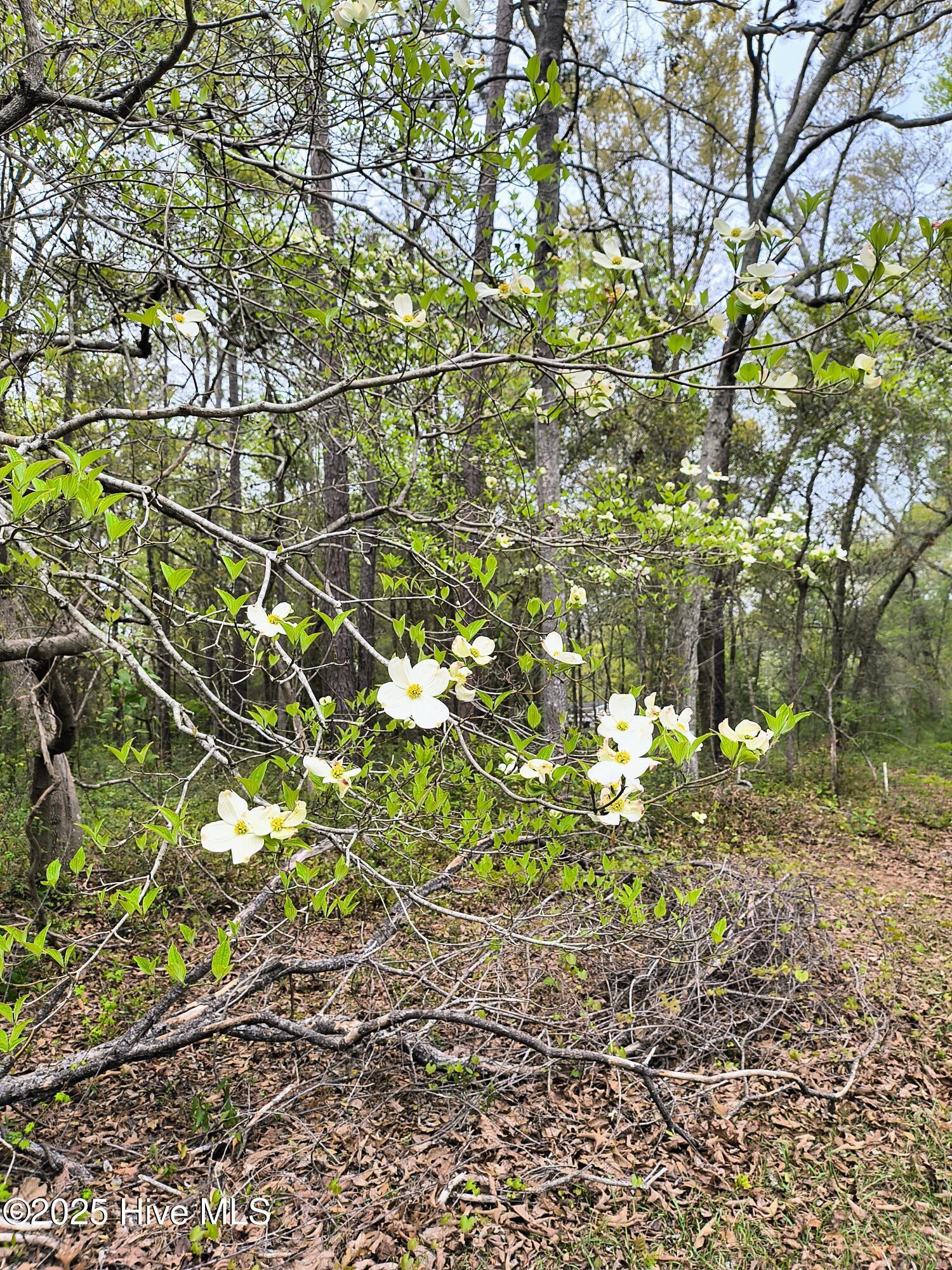 782 Pondview Drive Property Photo 3