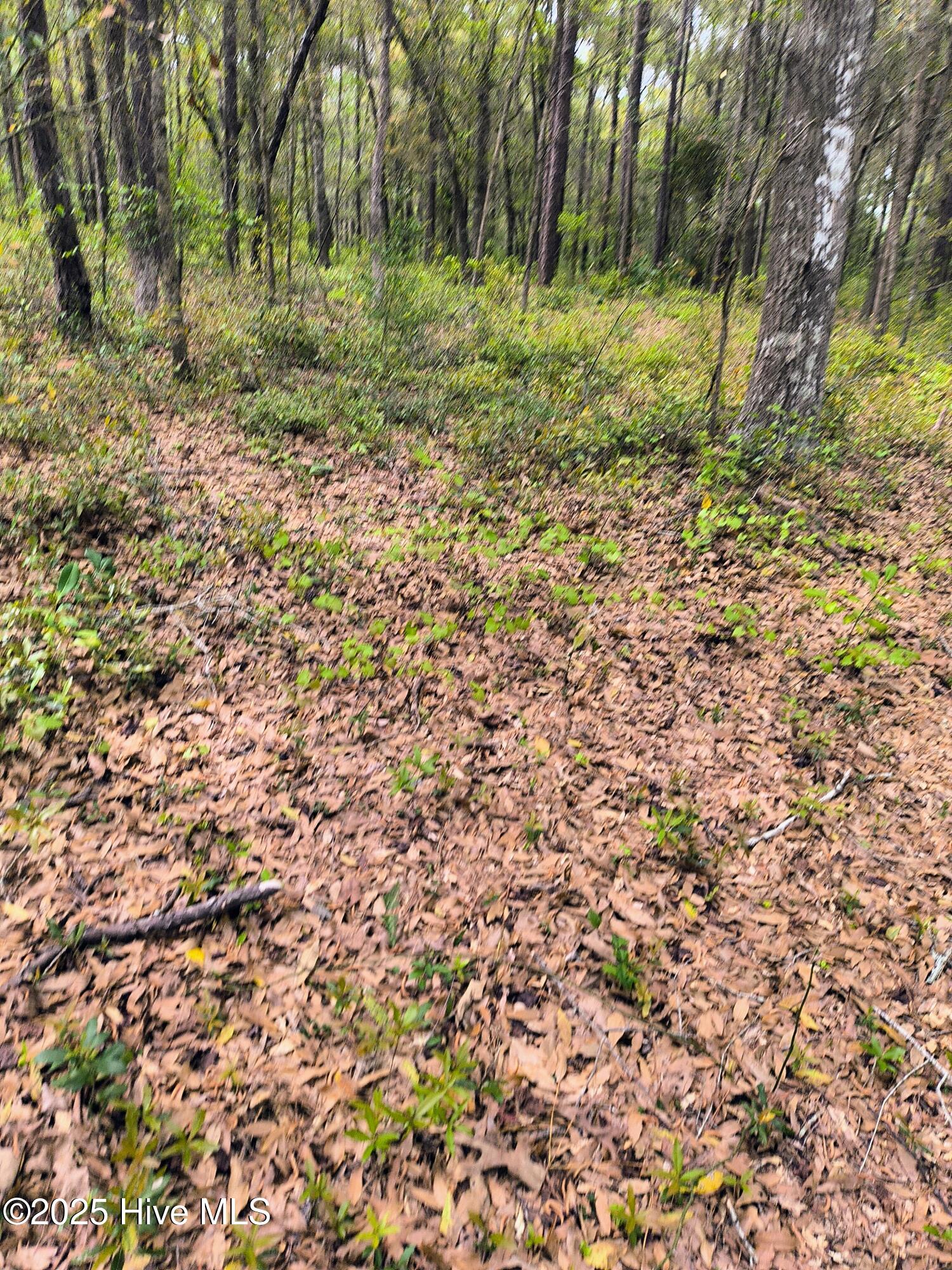 782 Pondview Drive Property Photo 8